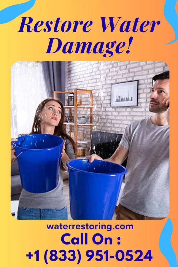 water restoration Best Restoration Force Edna
