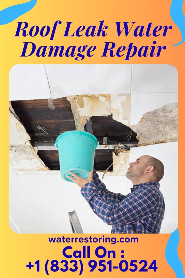 Roof Leak Water Damage Repair in Edna, KS